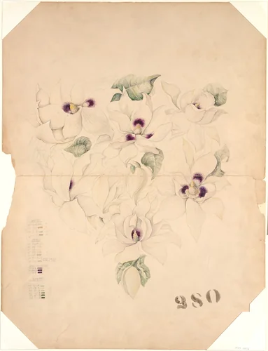 Design Drawing by Tiffany & Co., artwork, 1893