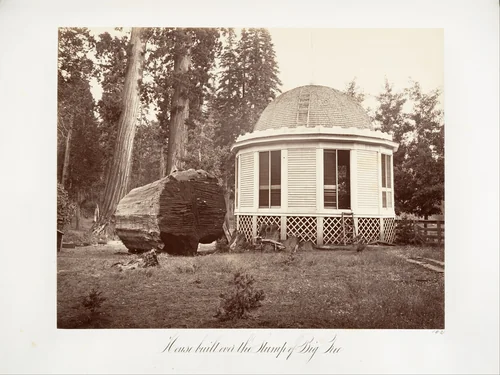 The House Built over the Stump of a Big Tree by Carleton E. Watkins, photograph, 1865-1866
