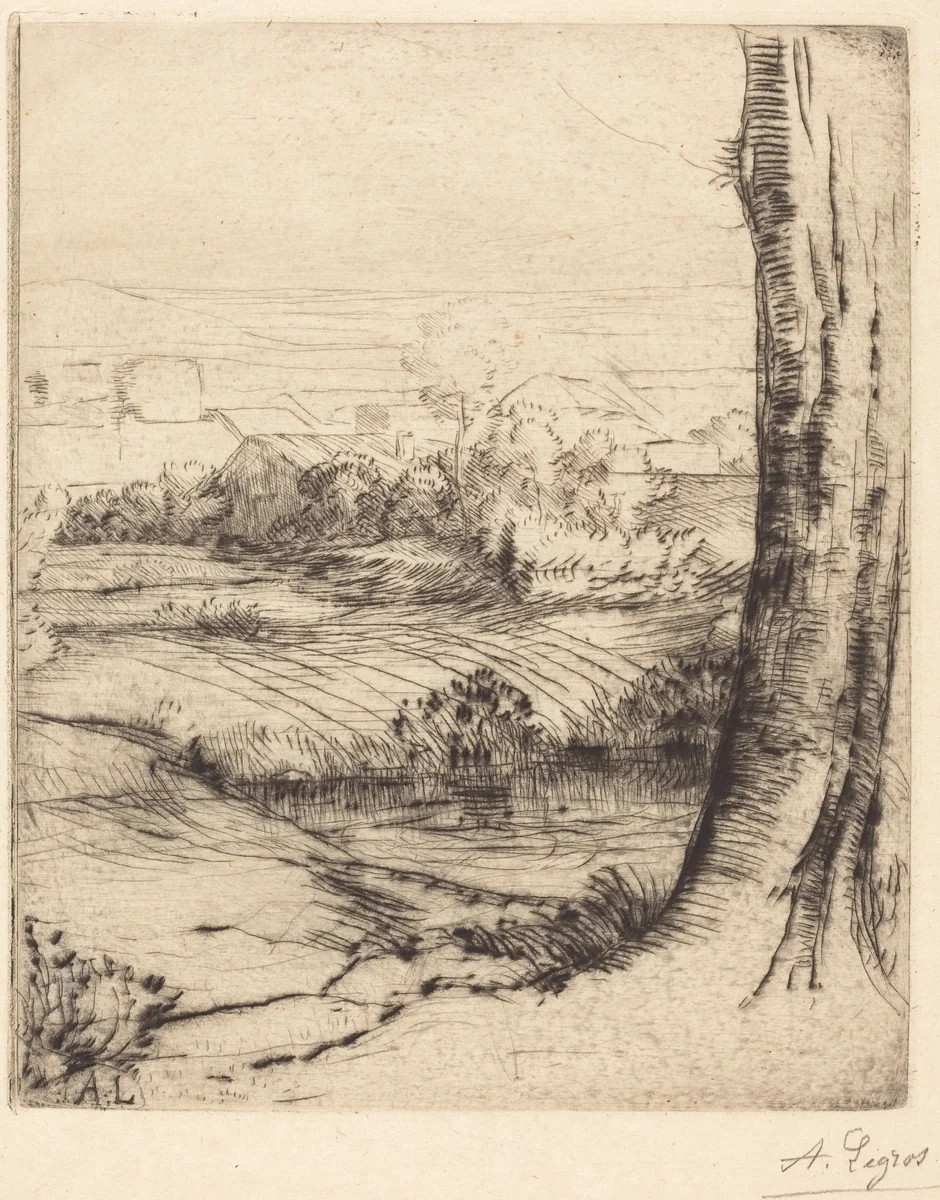 View of Reeds (Coin de roseau) by Alphonse Legros, print, 1837-1911