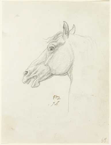 Horse's Head by Jacques-Louis David, drawing, 1805-1815