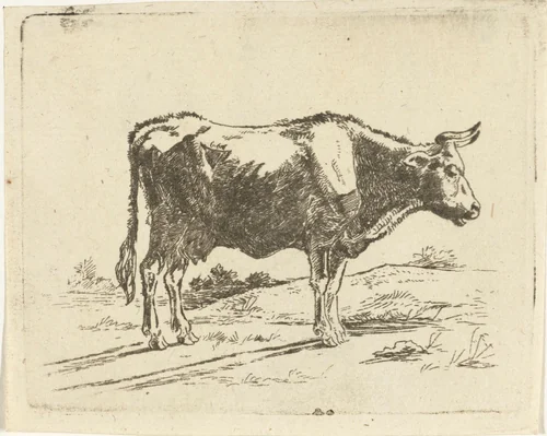 Staande koe by Jan Dasveldt, print, 1780-1855