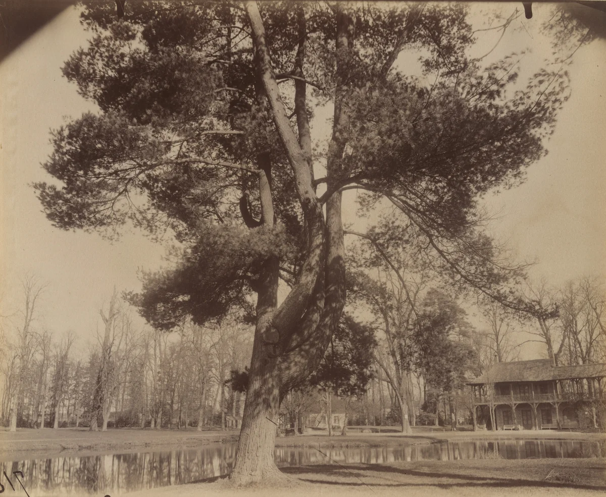 Petit Trianon by Eugène Atget, photograph, 1910