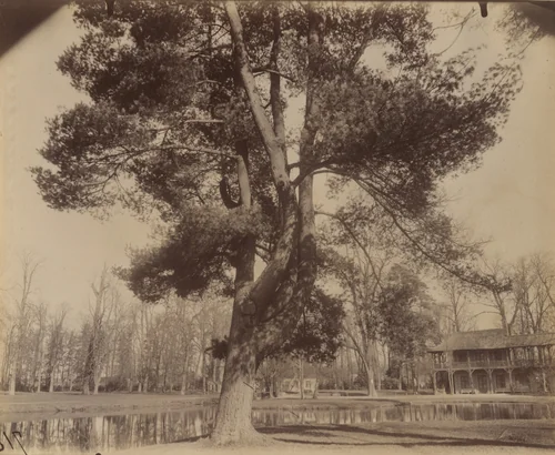 Petit Trianon by Eugène Atget, photograph, 1910