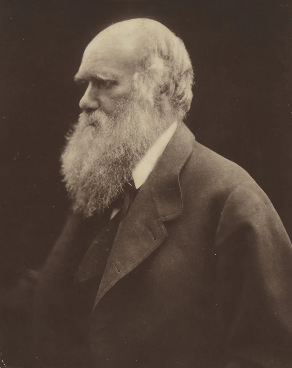 Charles Darwin by Julia Margaret Cameron, photograph, 1868