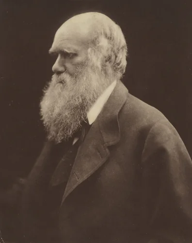 Charles Darwin by Julia Margaret Cameron, photograph, 1868