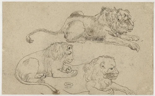 Study Sheet with Three Lions by anonymous, drawing, 1615-1634