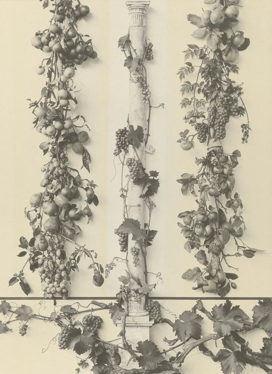 Page from Festons und Dekorative Gruppen by Unidentified Photographer, photograph, 1893