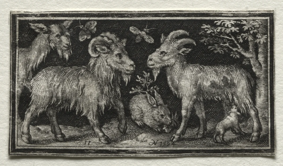 Goats and Hare by Nicolaes de Bruyn, print, 1594