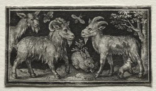 Goats and Hare by Nicolaes de Bruyn, print, 1594