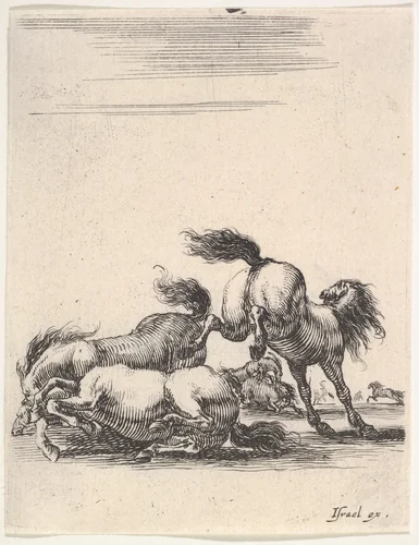Several horses fighting, one horse to right kicking two horses on the ground below to left, other horses fighting in the background, from "Various cavalry exercises" (Diverses exercices de cavalerie) by Stefano della Bella, print, 1642-1645