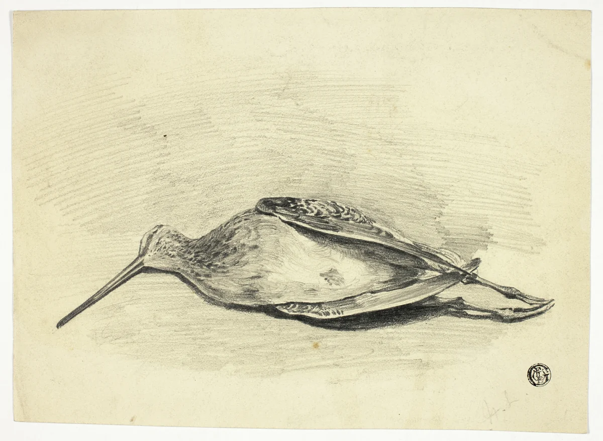 Dead Grouse by Henry LeJeune, drawing, 1839-1904