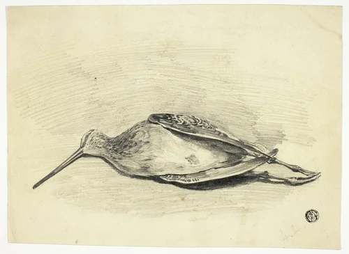 Dead Grouse by Henry LeJeune, drawing, 1839-1904
