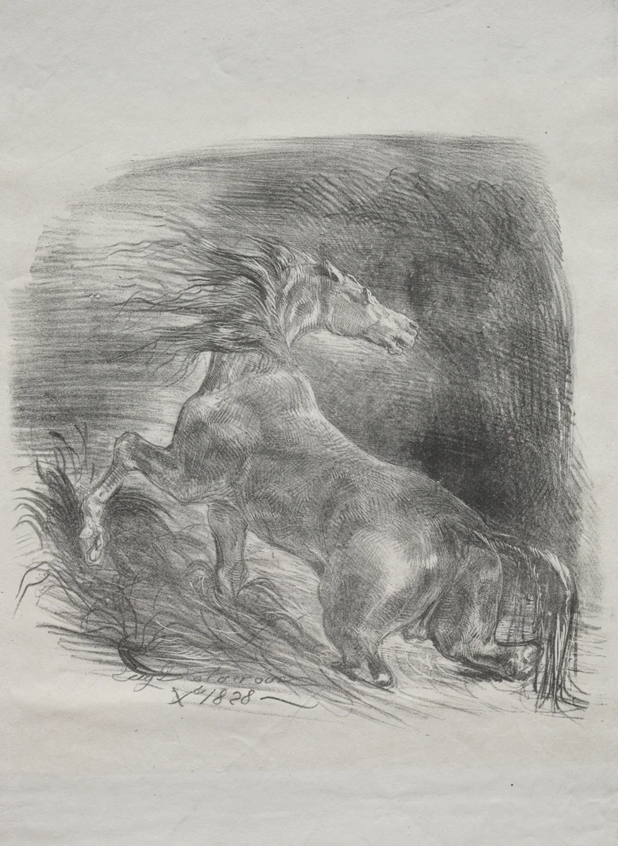 The Wild Horse, or Frightened Horse Leaving the Water by Eugène Delacroix, print, 1828