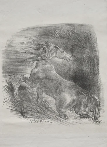 The Wild Horse, or Frightened Horse Leaving the Water by Eugène Delacroix, print, 1828