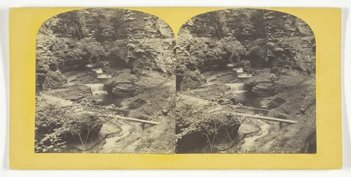 View in Freers Glen at Watkins N.Y. 2d Glen by J. C. Burritt, photograph, 1860-1865