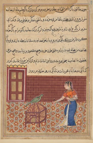 The parrot addresses Khujasta at the beginning of the fifty-first night, from a Tuti-nama (Tales of a Parrot): Fifty-first Night by Unknown, painting, 1555-1565