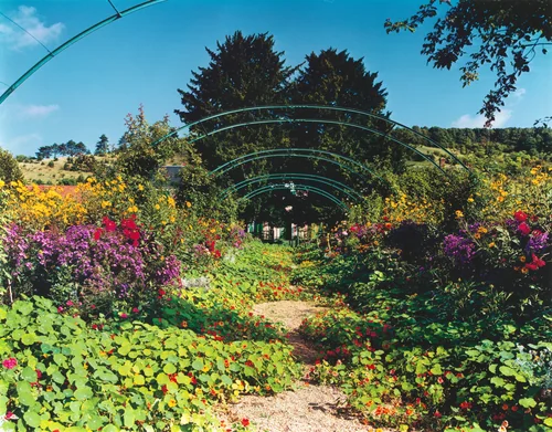 Plate VII by Stephen Shore, photograph, 1981