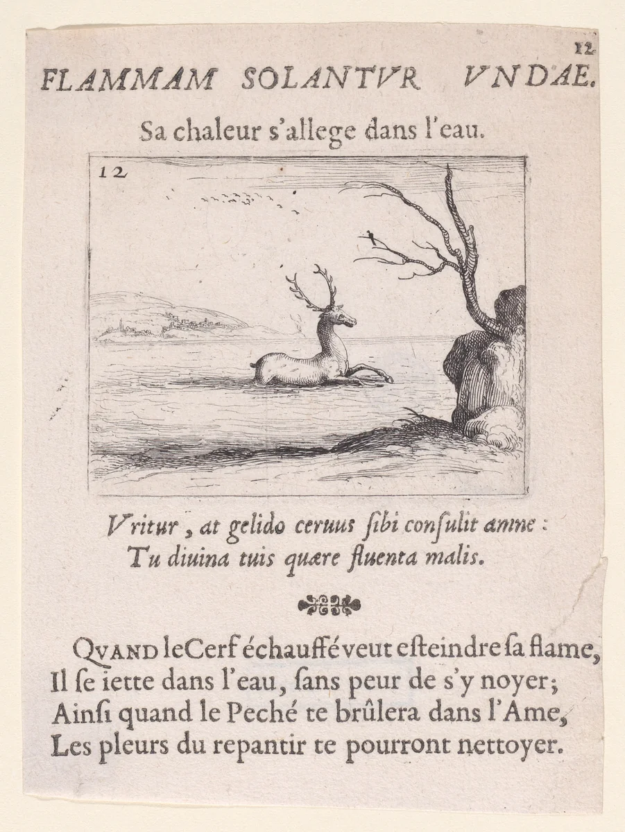 Un Cerf dans l'Eau (A Deer in the Water), plate 12 from "Lux Claustri ou La Lumière du Cloitre" (The Light of the Cloisters) by Jacques Callot, print, 1625-1631