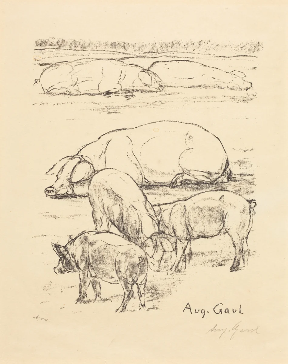 Pigs by August Gaul, print, 1869-1921