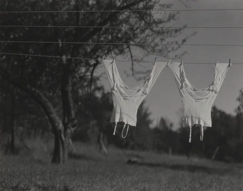 Long Underwear, Lake George by Alfred Stieglitz, photograph, 1924