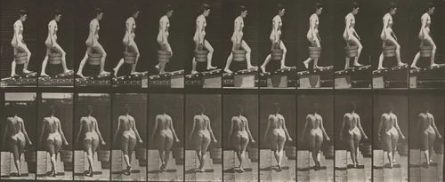 Plate Number 83. Ascending an incline with a bucket of water in right hand by Eadweard Muybridge, photograph, 1887