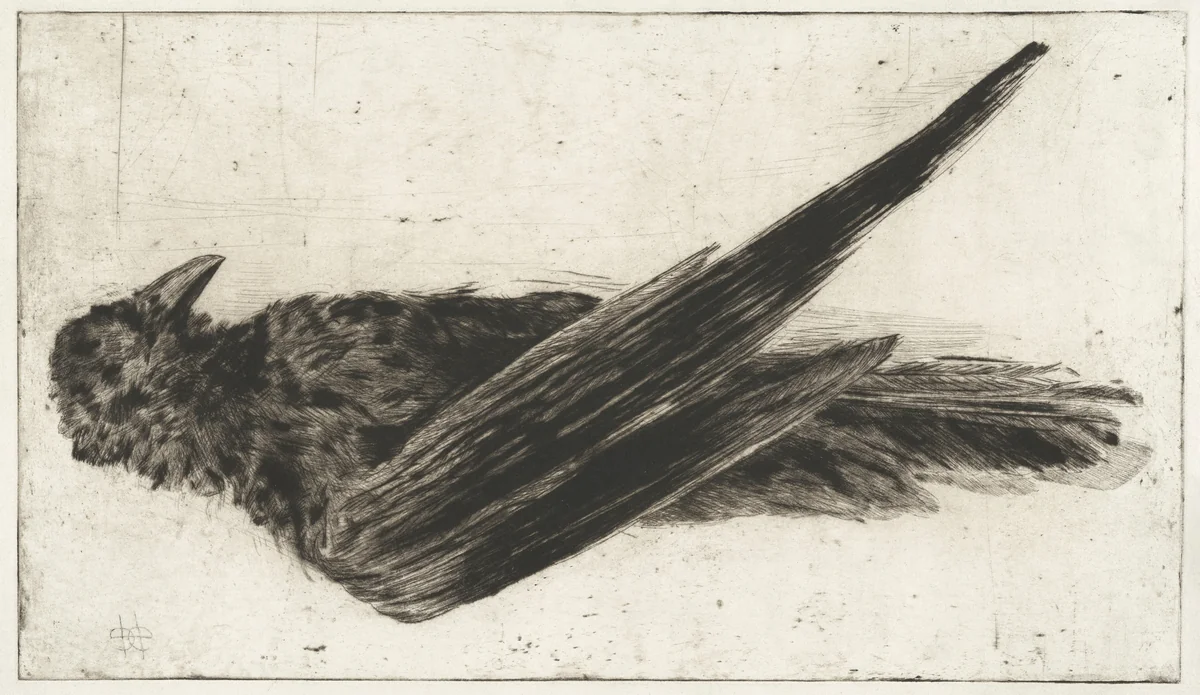 The Large Hanging Raven by Henri-Charles Guérard, print, 1866-1888