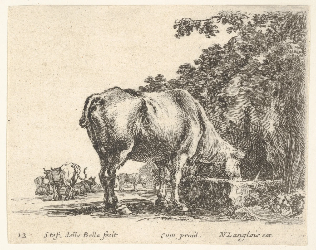 Plate 12: a cow drinking from a stone trough, other cows to left in background, from "Diversi Capricci" by Stefano della Bella, print, 1644-1647