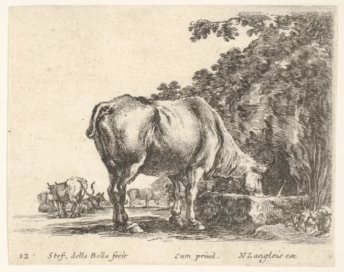 Plate 12: a cow drinking from a stone trough, other cows to left in background, from "Diversi Capricci" by Stefano della Bella, print, 1644-1647