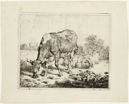 Bull Grazing and Three Sheep by Adriaen van de Velde, print, 1670