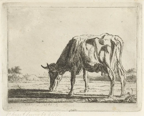 Grazende koe by Jacobus Cornelis Gaal, print, 1854