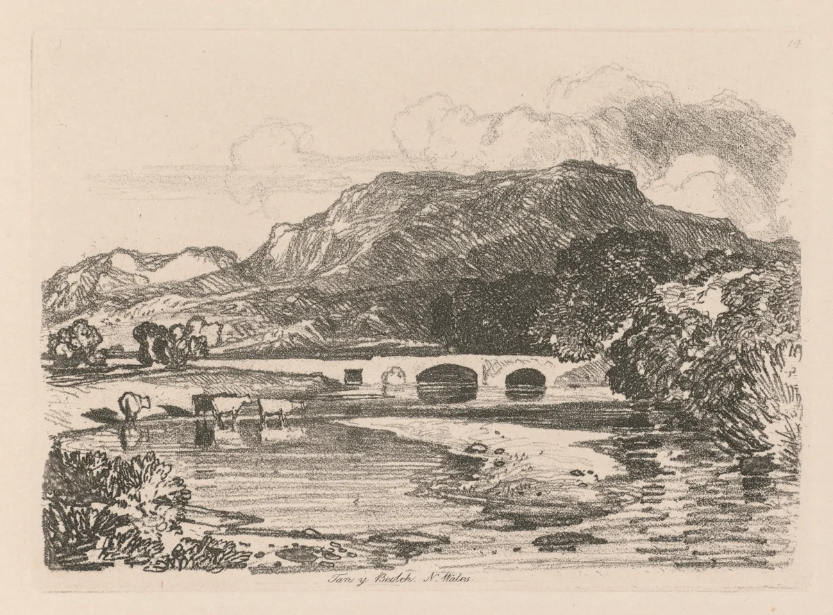 Liber Studiorum: Plate 14, Tan-y-Bwlch, Merionethshire, North Wales by John Sell Cotman, book, 1838