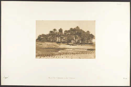 Vue de l'île d'Eléphantine, en face d'Assouan by Maxime Du Camp, photograph, 1850