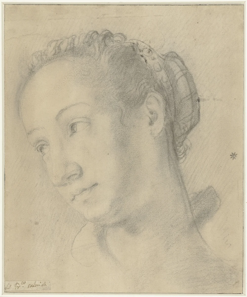 Hoofd van een jonge vrouw, driekwart naar links by Francesco Salviati, drawing, 1520-1563
