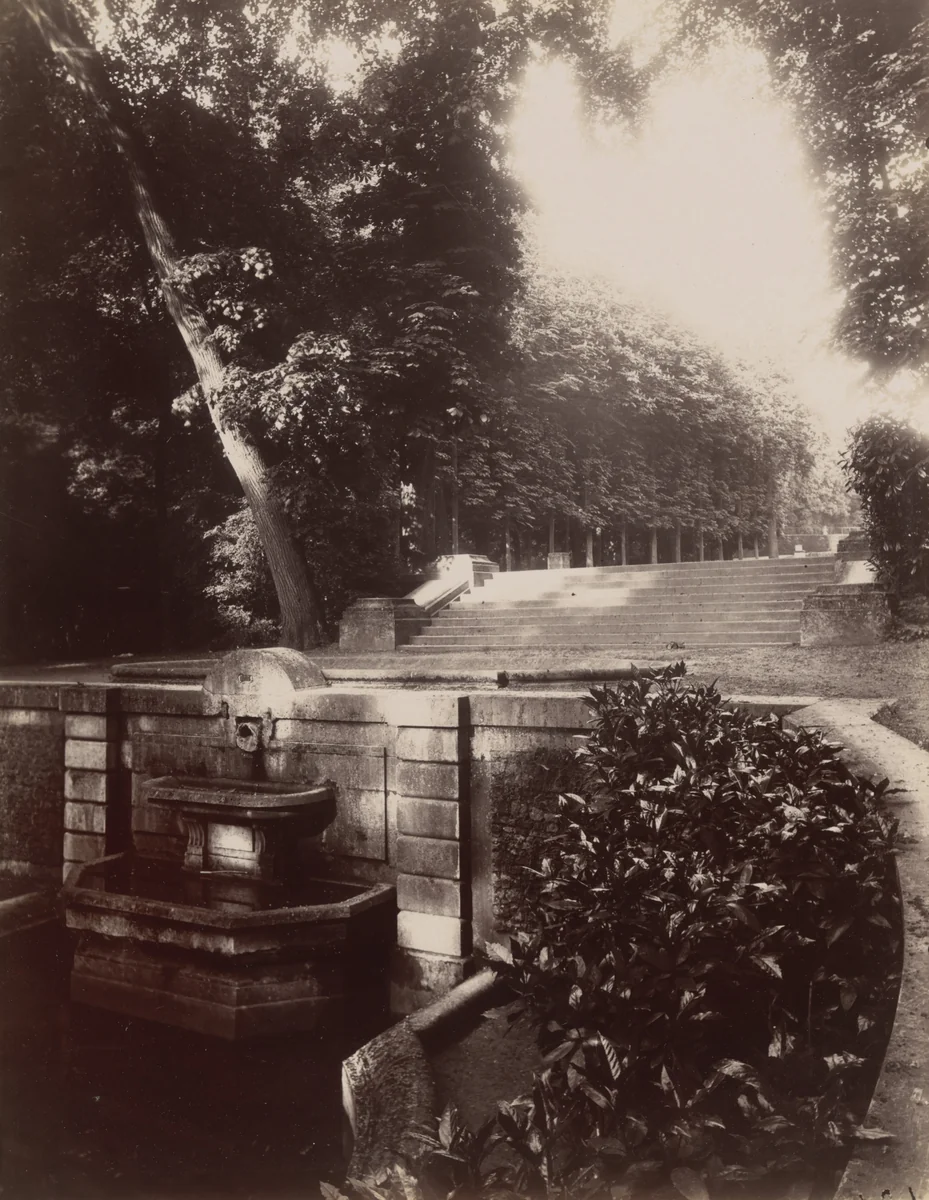 Saint-Cloud by Eugène Atget, photograph, 1924