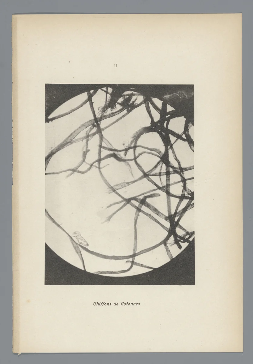 II Chiffons de Cotonnes by anonymous, photograph, 1900