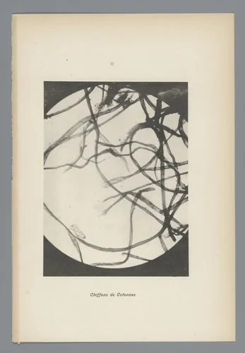 II Chiffons de Cotonnes by anonymous, photograph, 1900