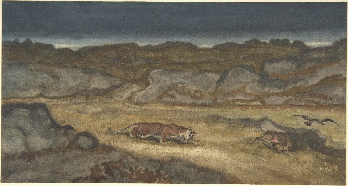 Tiger Stalking Prey by Antoine-Louis Barye, drawing, 1795-1875