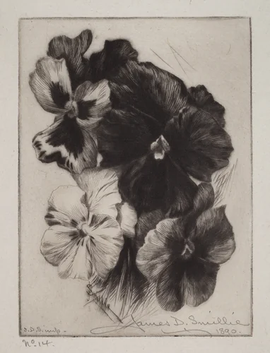 A Bunch of Pansies by James David Smillie, print, 1890