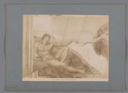 Fotoreproductie van het fresco De schepping van Adam door Michelangelo in de Sixtijnse kapel by anonymous, photograph, 1851-1900