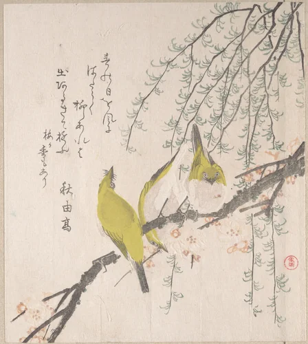 Japanese White-eyes with Plum Tree and Willow, from Spring Rain Surimono Album (Harusame surimono-jō, vol. 3) by Kubo Shunman (窪俊満), print, 1800-1820