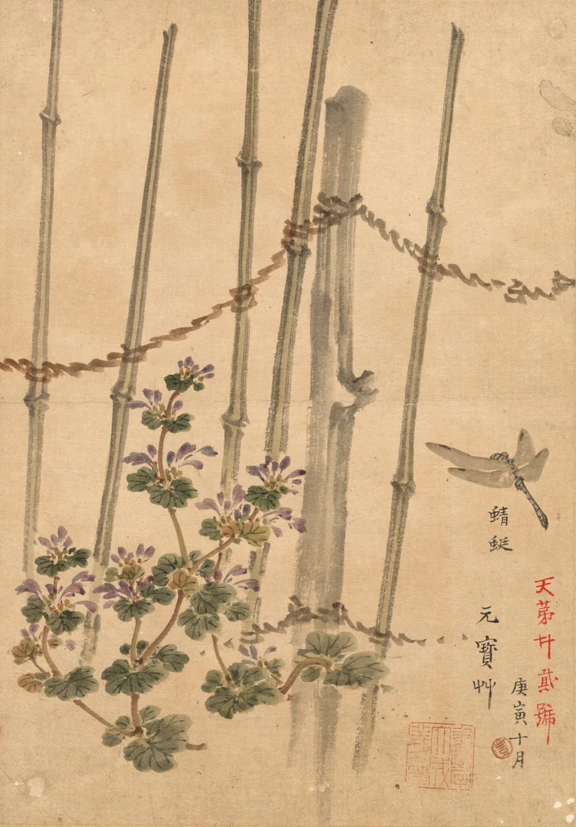 Bamboo Fence and Chrysanthemums by Kono Bairei, drawing, 1890