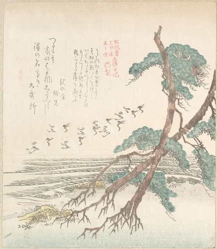 Sea-Side Landscape with Pine Trees and Flying Cranes by Kubo Shunman (窪俊満), print, 1800-1899
