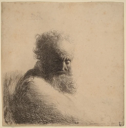 Bust of an Old Bearded Man, Looking Down, Three Quarters Right by Rembrandt van Rijn, print, 1631