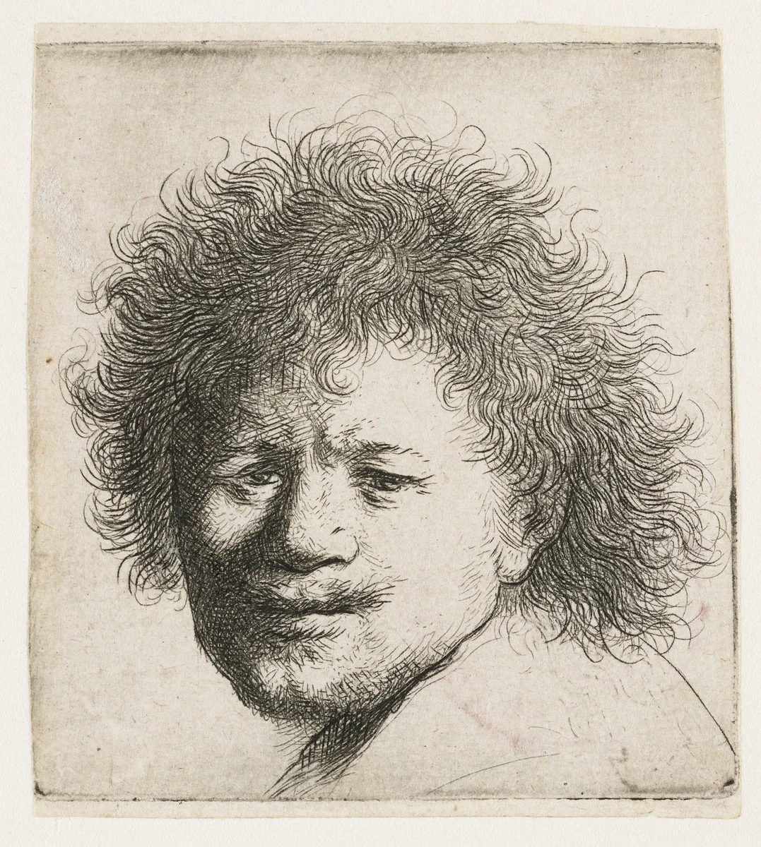 Self-portrait with long bushy hair: head only by Rembrandt van Rijn, print, 1631