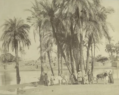 Portrait of Antonio Beato