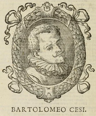 Portrait of Bartolomeo Cesi