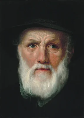 Portrait of Dirck Volckertsz. Coornhert