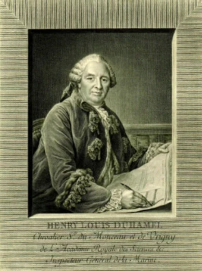 Portrait of Henri Louis Duhamel du Monceau