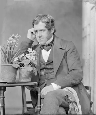 Portrait of John Dillwyn Llewelyn