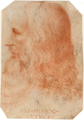 Portrait of Leonardo da Vinci, Italian artist (1452-1519)
